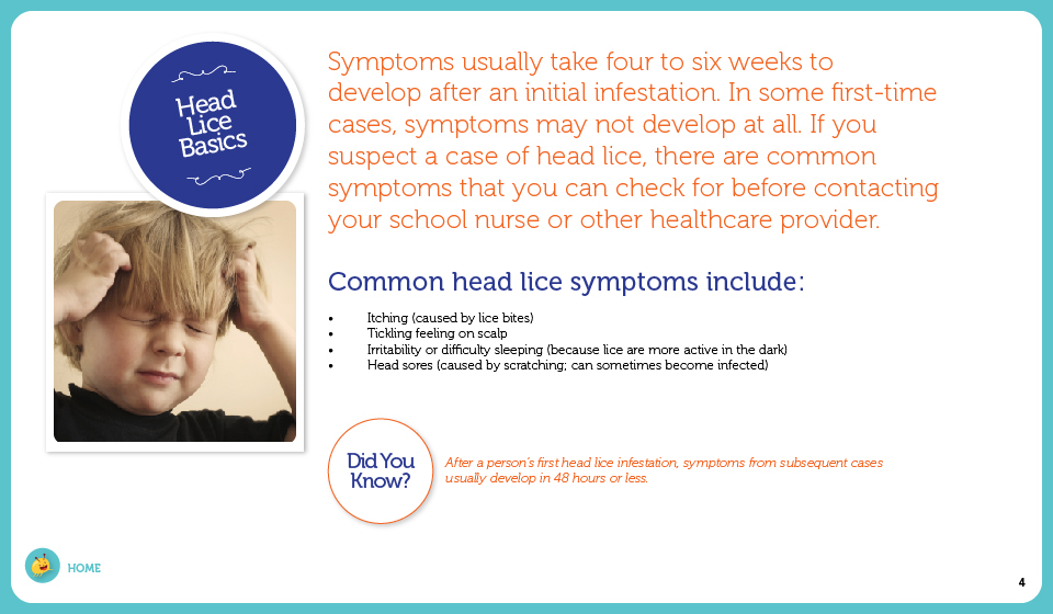 Symptoms usually take four to six weeks to develop after an initial infestation. In some first-time cases, symptoms may not develop at all. If you suspect a case of head lice, there are common symptoms that you can check for before contacting your healthcare provider.