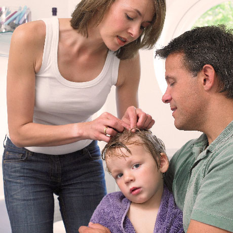 When selecting a head lice treatment consider safety, efficacy, ease of use and cost.